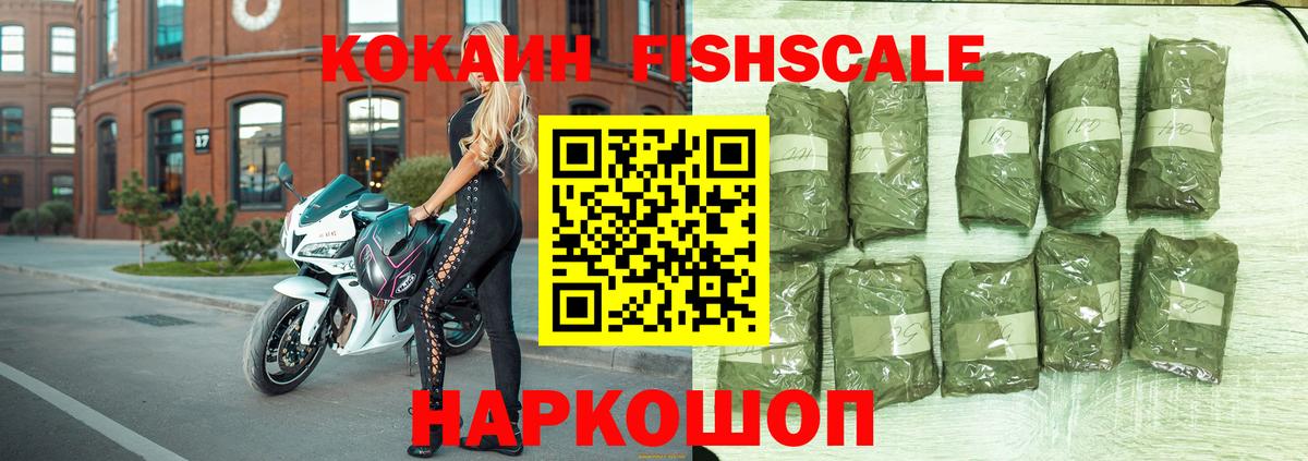 COCAIN Columbia Партизанск