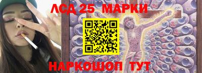 молекула духа Будённовск