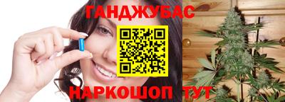 ECSTASY Новодвинск
