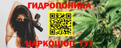 молекула духа Будённовск