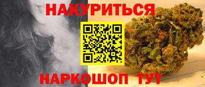 молекула духа Будённовск