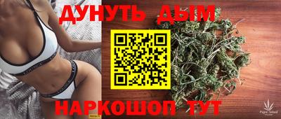 молекула духа Будённовск