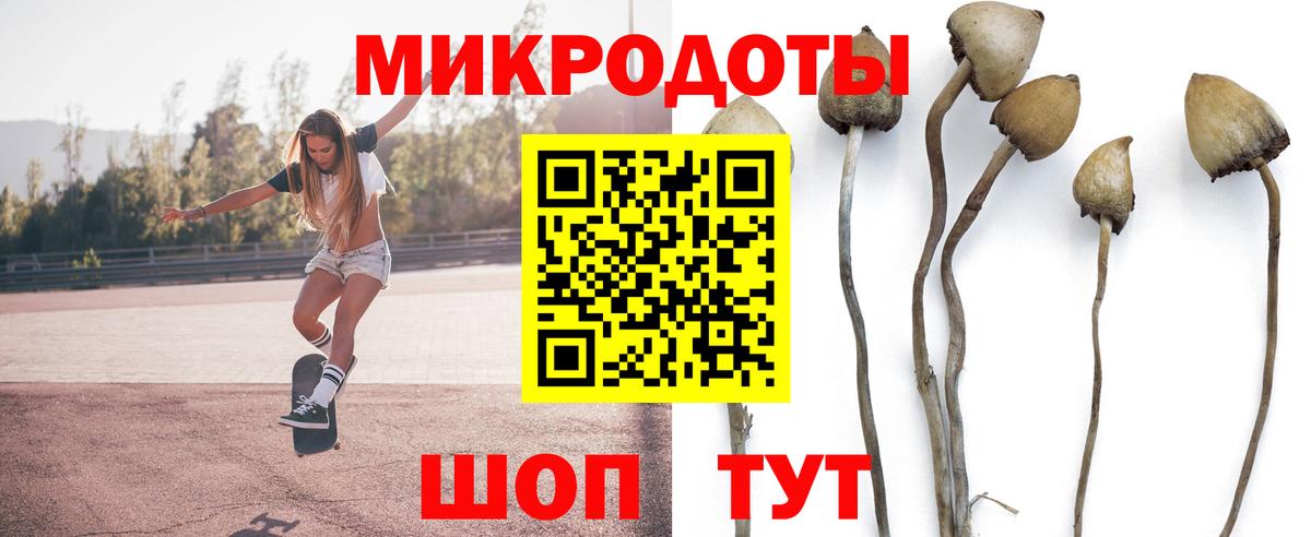 Партизанск  Галлюциногенные грибы Psilocybine cubensis  Вход с VPN  Псилоцибиновые грибы GOLDEN TEACHER 